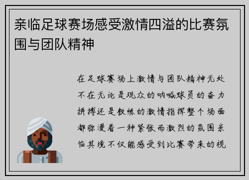 亲临足球赛场感受激情四溢的比赛氛围与团队精神