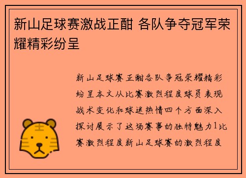 新山足球赛激战正酣 各队争夺冠军荣耀精彩纷呈