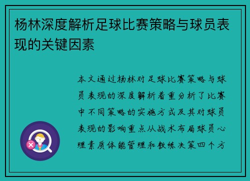 杨林深度解析足球比赛策略与球员表现的关键因素