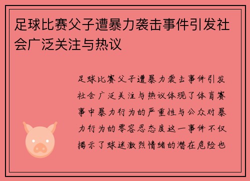 足球比赛父子遭暴力袭击事件引发社会广泛关注与热议