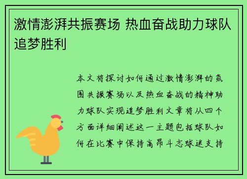 激情澎湃共振赛场 热血奋战助力球队追梦胜利