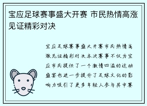 宝应足球赛事盛大开赛 市民热情高涨见证精彩对决