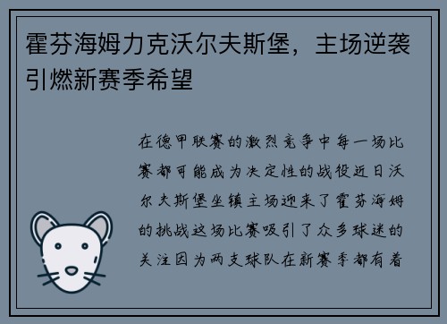 霍芬海姆力克沃尔夫斯堡，主场逆袭引燃新赛季希望