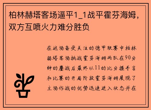 柏林赫塔客场逼平1_1战平霍芬海姆，双方互喷火力难分胜负
