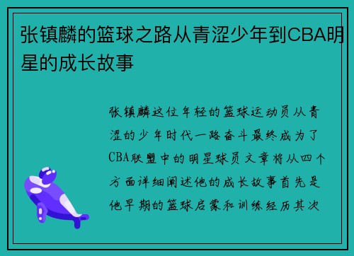 张镇麟的篮球之路从青涩少年到CBA明星的成长故事
