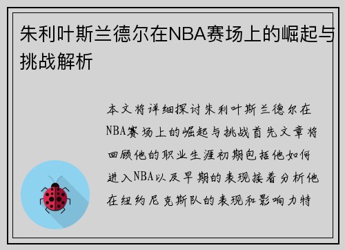 朱利叶斯兰德尔在NBA赛场上的崛起与挑战解析