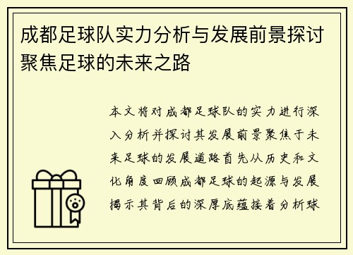 成都足球队实力分析与发展前景探讨聚焦足球的未来之路
